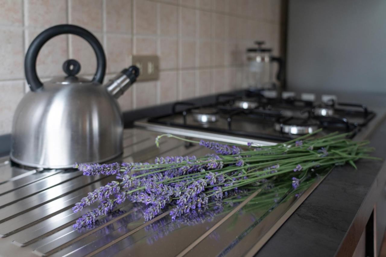 Lago Maggiore A 10 Minuti "Cascina Lavanda" Casalzuigno المظهر الخارجي الصورة