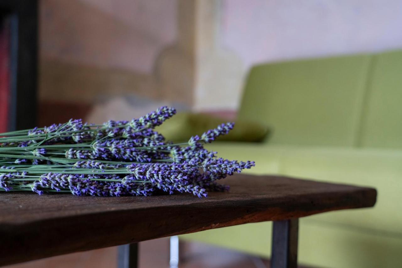 Lago Maggiore A 10 Minuti "Cascina Lavanda" Casalzuigno المظهر الخارجي الصورة